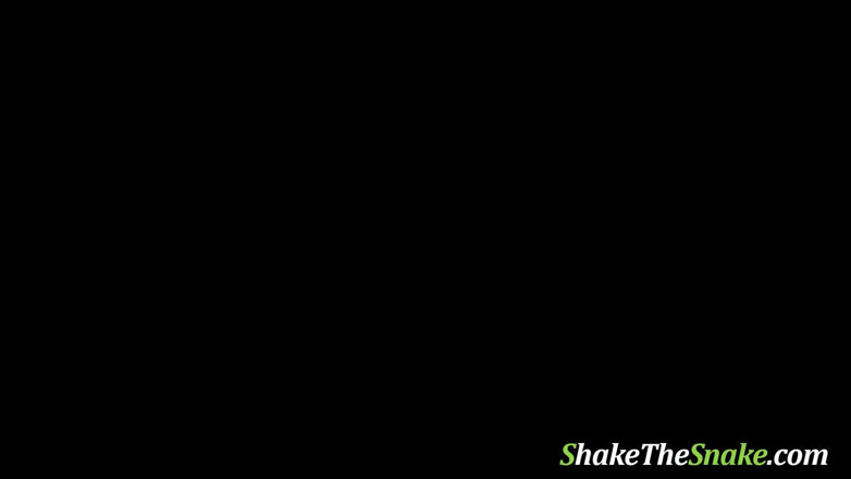Shake The Snake: Shake The Snake - Místní rodinné vazby - DVD