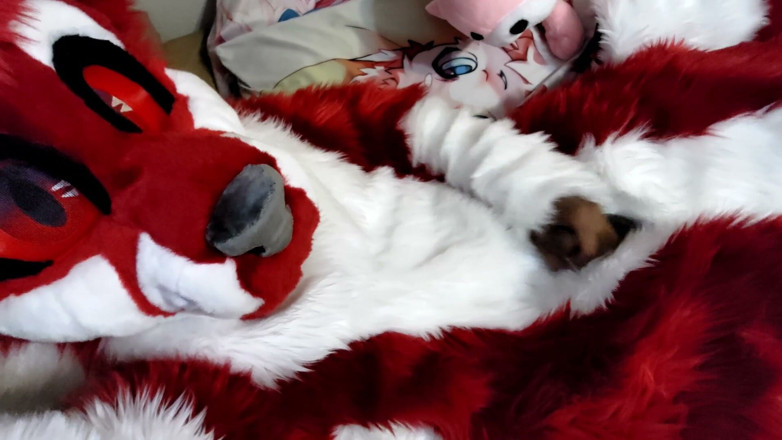 PawgrammerSocks: Jerking off and Showing Footpaws in Full-body Fursuit