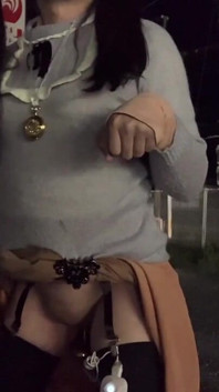 独立训练No32夜间散步中的狗式