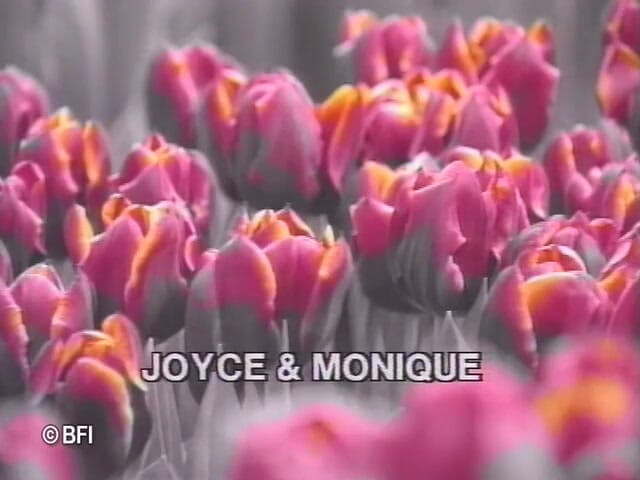 Hardcore slave sex: Des Hollandaises minces dans un film vintage