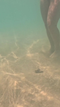 Nuda in Paradiso - Tempo Di Gioco Oceano Sott'acqua