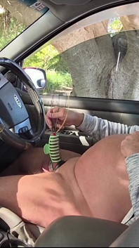 In the Car