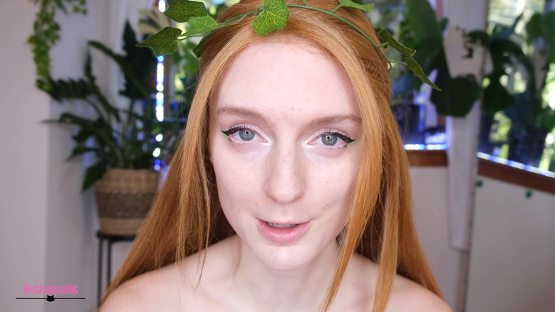 Destination Kat: Îți