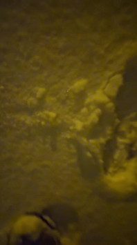 Passeggiando sulla neve