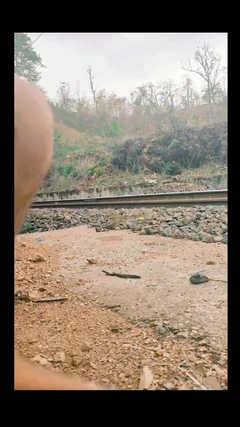 Desi Hindu Boy