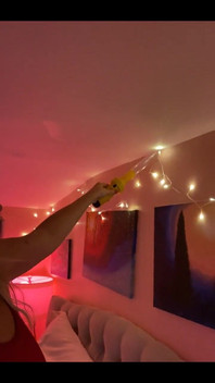 Ah Help - Stinkbug Pain in the Ass