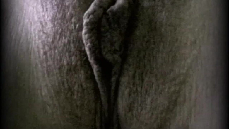 FM Video films: Šukač v zákulisí - epizoda 1