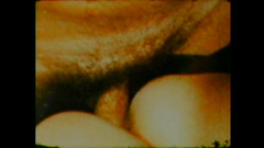 Vintage Usa: 一切从屁股开始