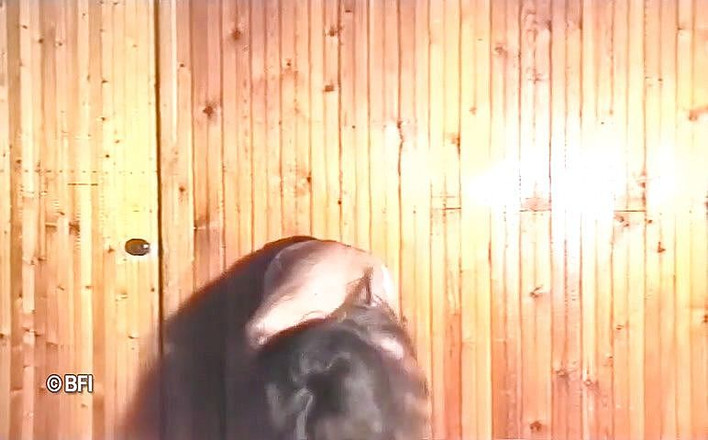 Hardcore Lovers: Une belle brune dans un casting vintage