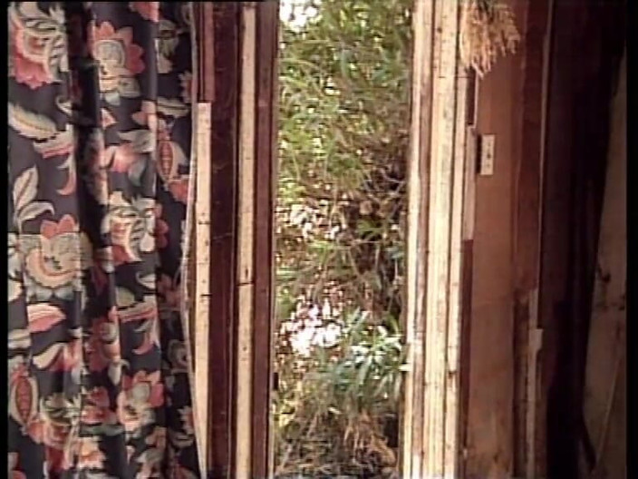 Vintage Movies XXX Best of: 내 안에 깊숙이 깊게 하고 싶어! 빈티지 정글에서 따먹히는 거유 갈색 머리