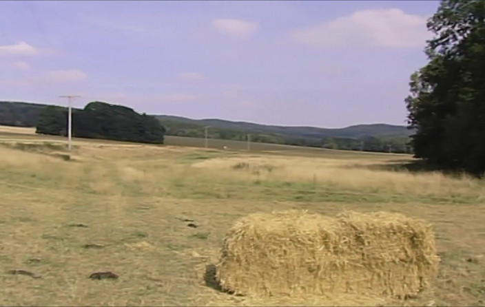 PRP: Kırsal Aşk - DVD