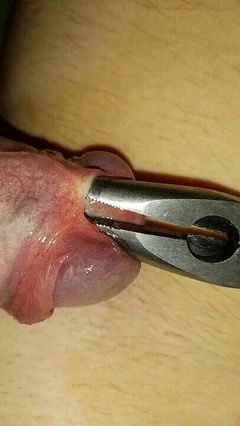 Suara Toolbox dan Rods