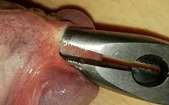 Boîte à outils sondage et tiges
