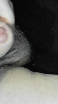 Arc of Sperm, Solo Amateur, Fountain