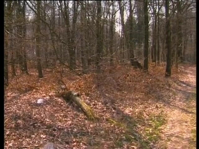German amateur - 100% German hardcore videos: Ibu tiri remaja sangat menyukai tetangganya yang mesum
