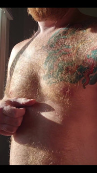 The Morning Sunlight