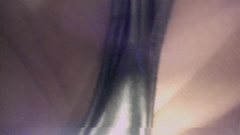 Banko Miyadzaki: Você está abaixo de mim, literalmente