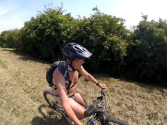 Andy: Прогулка 41 2025