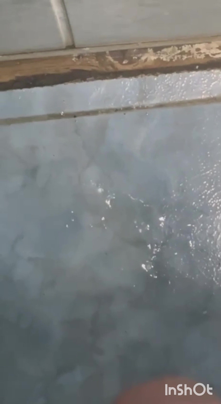 dragondragos2026: Air mani