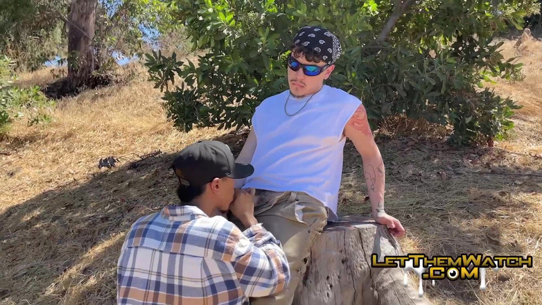 Let them watch: Avsugning kuk suger fångad! Stor oskuren kuk!