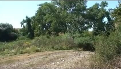 Out Sexxx: Lande cows - Vacche di campagna DVD