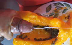 Don't Give Papaya thumbnail