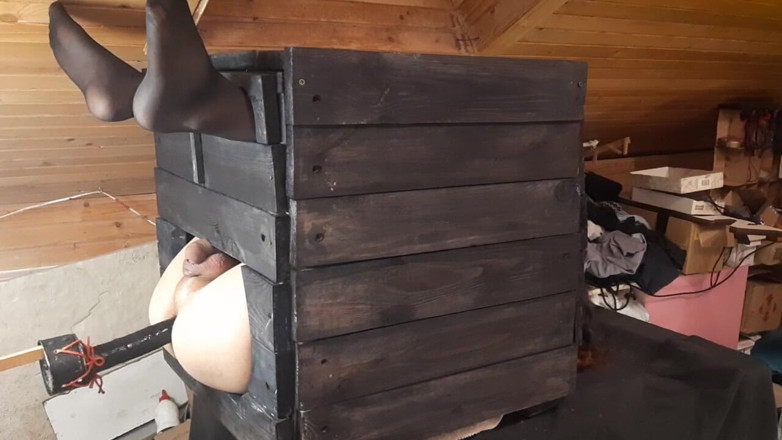 DiiVampy: Trapped in a Crate - Machine Anal Fuck