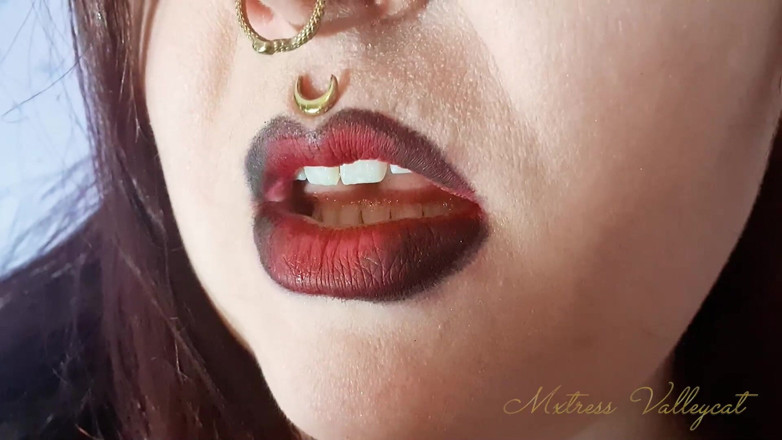 Mxtress Valleycat: Towering Curves