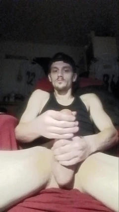 Zonnige new2025 ty-fans