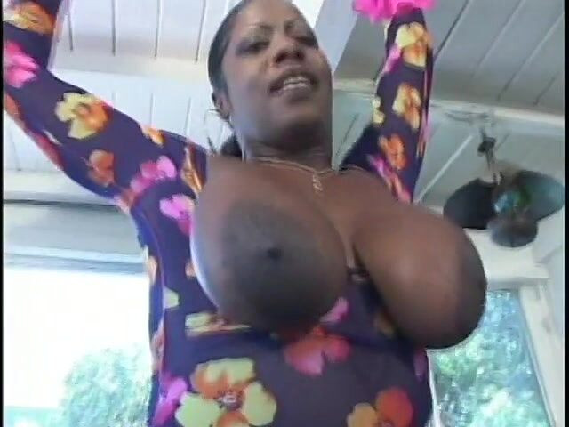 Fuck me Hard: Obrovský černý pták se sotva vejde do dírek ebenové děvky