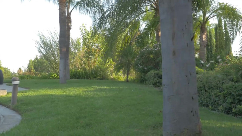 Lesbian Illusion: De grote uitdaging van supermodel lesbiennes!! - (Uitdaging #09)