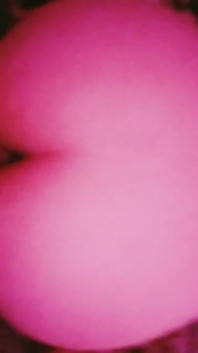 POV 아마추어 애널