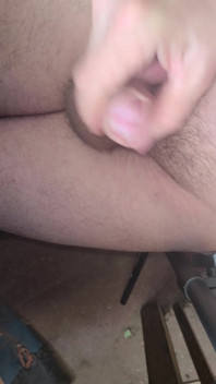 手淫 342
