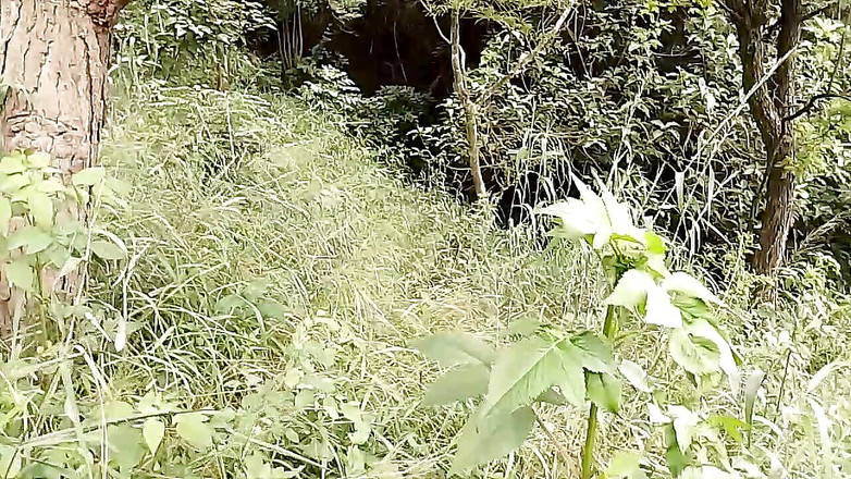 Gangbang straight: Versa婊子的男友在丛林中裸体跳舞