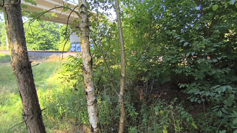 Bouncy Tits Action: Titslapping Rekord Świata Trainig 2 - 9 z 18 - 4230 Uderzeń