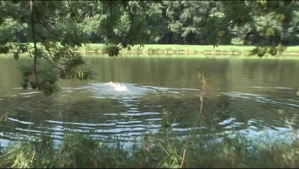 Out Sexxx: Sexy chlupatá kundička s velkými prsy na velkém čůrákovi na pláži