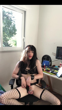 Do You Think I Could Become Your Pet?