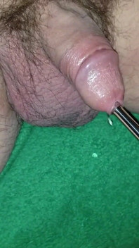 7-8mm âm thanh niệu đạo với cumshot