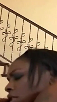 Black on Black Fuck for a Big Black Cock Banging a Black Pussy Doggystyle