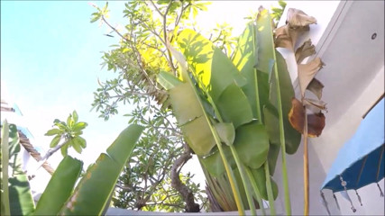 Helena Moeller: Geiler urlaub: POV-sex am pool