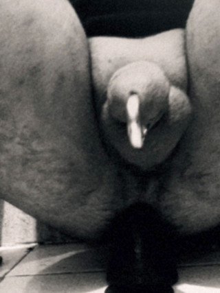 Phillholes: Černé a bílé porno video