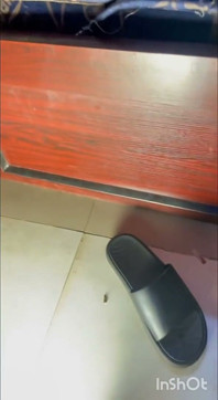 Daha fazlasını istiyorlar
