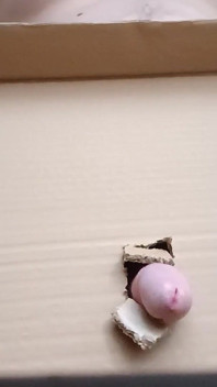 Homemade Gloryhole