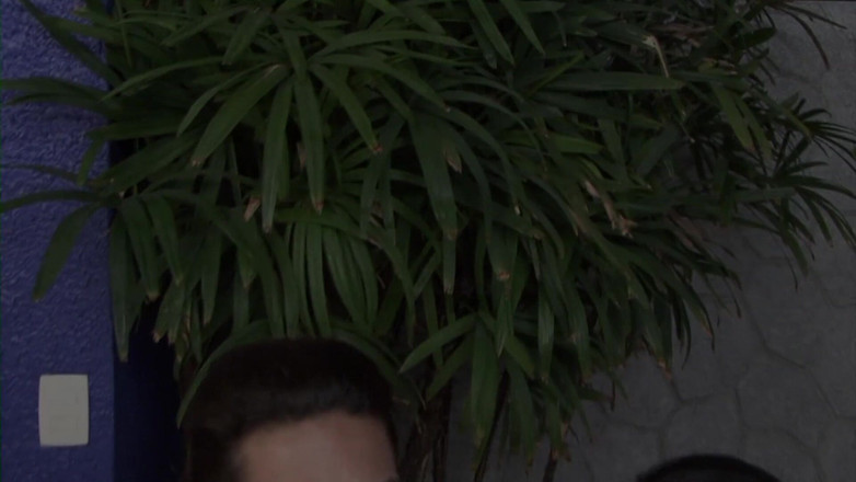 Wonder Shemale: Teen shemale Taina Loussda anální montáž sexy latiny