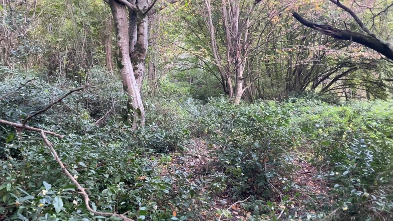 Verhiniz: Spotkałem zboczeńca uległą dziewczynę na świeżym powietrzu i ukarałem jej cipkę