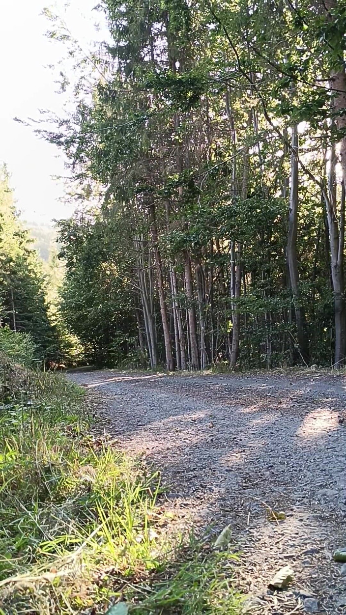 kickerscooter: Scooter Rider Venkovní masturbace