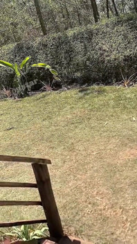 Sex After Long Journey with Ex Wife(full Video)