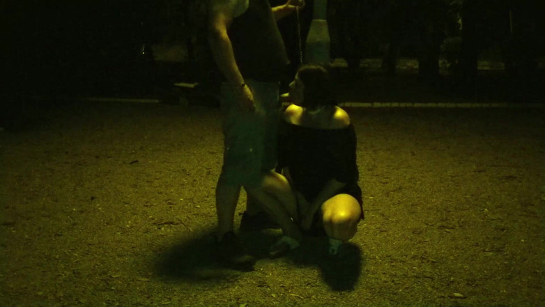 Toilet Mommy: Beautiful Whore Sucking My Dick in the Park