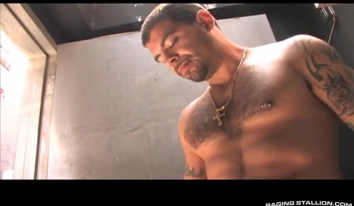 Raging Stallion: Manhattan
