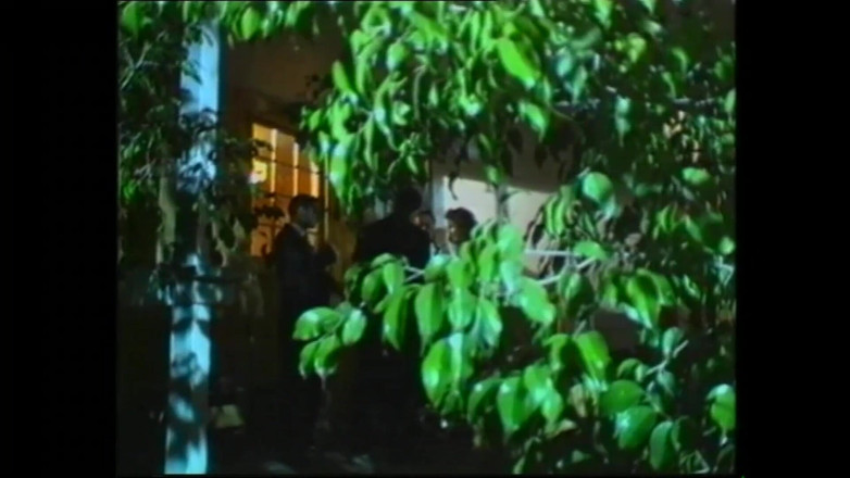 PURZEL TV - our best full movie: Le Voyeur À Proximité